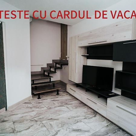 Apartment Attic Sibiu Buitenkant foto